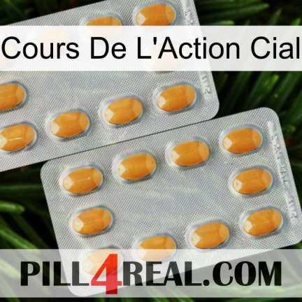 Cial Stock Price cialis4